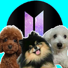 BTS mascotas army stickers icône