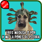 Stickers de Perros y memes de perros divertidos WA icono