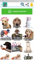 Stickers de Perros y memes de perros divertidos WA Ekran Görüntüsü 3