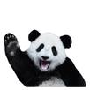 Stickers de pandas graciosos WAStickerApps 2020 APK