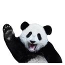 Stickers de pandas graciosos WAStickerApps 2020 APK