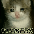 Stickers de gatos
