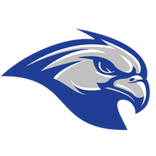 Falcon VPN