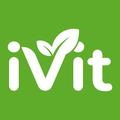 iVit