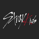 Stray Kids Store APK