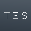 TES.STORE: Цифровой авто APK