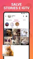 Story Saver & Story Downloader Cartaz