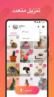 Story Saver for Instagram - Story Downloader تصوير الشاشة 2