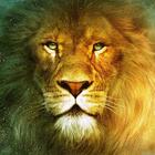 Lion King Wallpaper icon