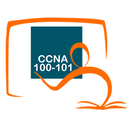 CCNA 100-101 ICND1 Exam Online aplikacja