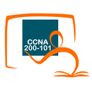 CCNA 200 101 Exam Online aplikacja