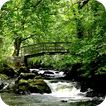 Stream 3D Video Wallpaper