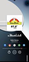 Radio Paloma Plakat