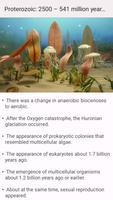 Evolution screenshot 1