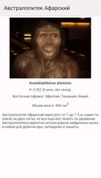 Эволюция скриншот 3