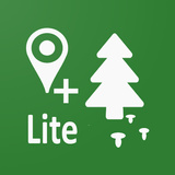 Forest Navigator Lite APK