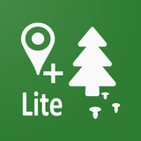 Forest Navigator Lite ícone