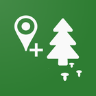 Forest Navigator أيقونة