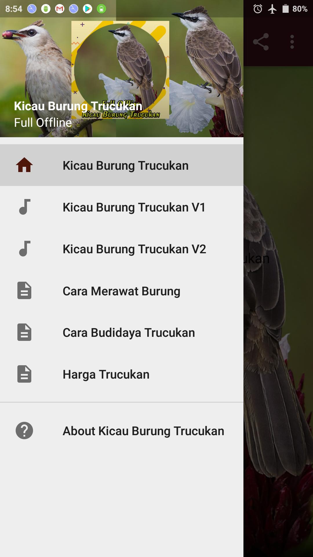 Mp3 Kicau Burung Trucukan Gacor Ngropel For Android Apk Download