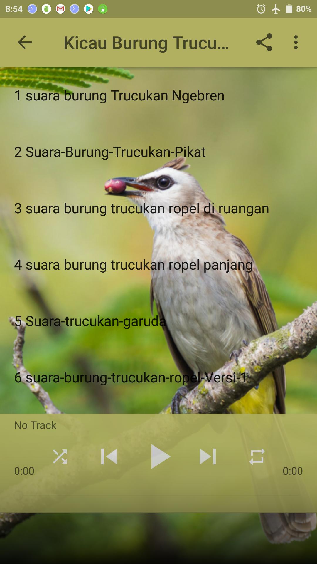 Mp3 Kicau Burung Trucukan Gacor Ngropel For Android Apk Download