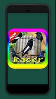 Suara Burung Kacer Mp3 capture d'écran 1