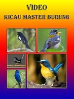 Video Kicau Master Burung Poster