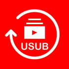 ikon USub