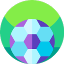 Success Correct Score APK