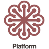Platform иконка