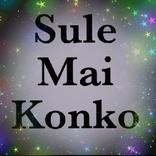 Sule Mai konko all songs