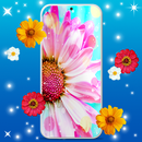 Spring Flowers Live Wallpaper APK