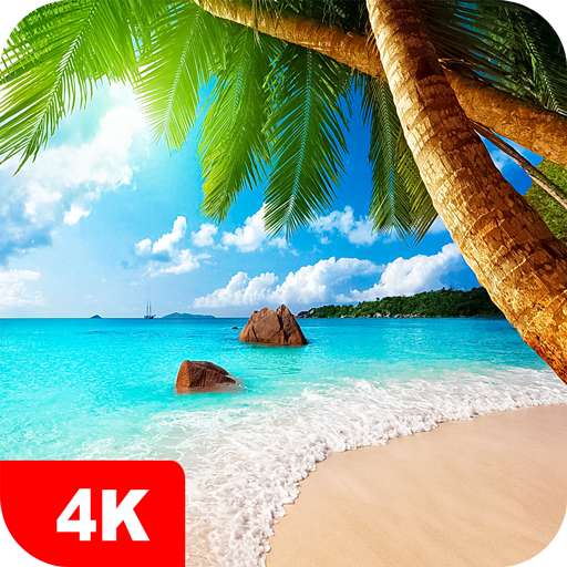 Fondos de pantalla verano 4K