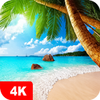 Summer Wallpapers 4K icon