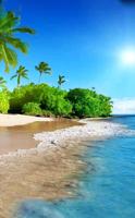 Summer wallpapers 2019 bài đăng