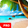 Summer Wallpapers PRO