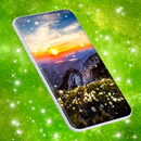 Sunset Dawn Live Wallpaper APK