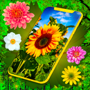 HD Summer Live Wallpaper APK