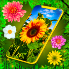 HD Summer Live Wallpaper أيقونة