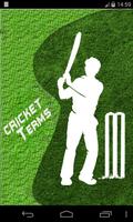 Cricket Terms plakat