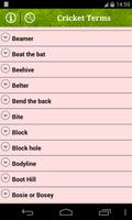 Cricket Terms ภาพหน้าจอ 1