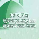 হাফেজ মাওলানা ওসমান গনি বই সমগ APK