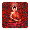 Yoga Quotes and Asana Pictures APK