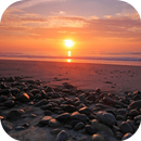 Sunset Video Live Wallpaper APK