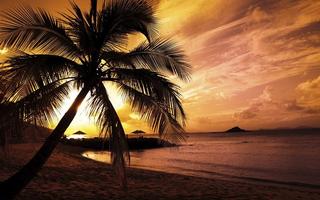 Sunset View HD Wallpaper скриншот 1