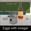 Egg With Vinegar APK