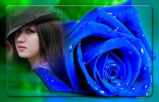 Blue Rose Photo Frames Affiche