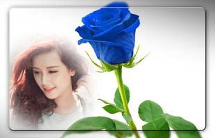 Blue Rose Photo Frames captura de pantalla 3