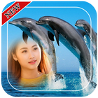 Dolphin Photo Frames आइकन