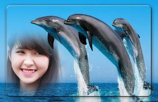 Dolphin Photo Frames पोस्टर
