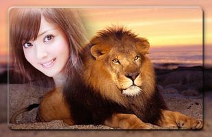 Lion Photo Frames Affiche